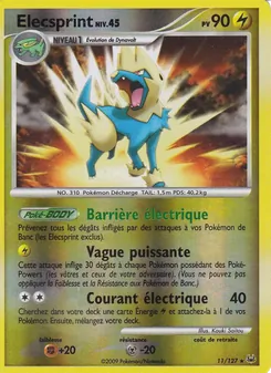 Élecsprint, Platine Nº 11 Holo