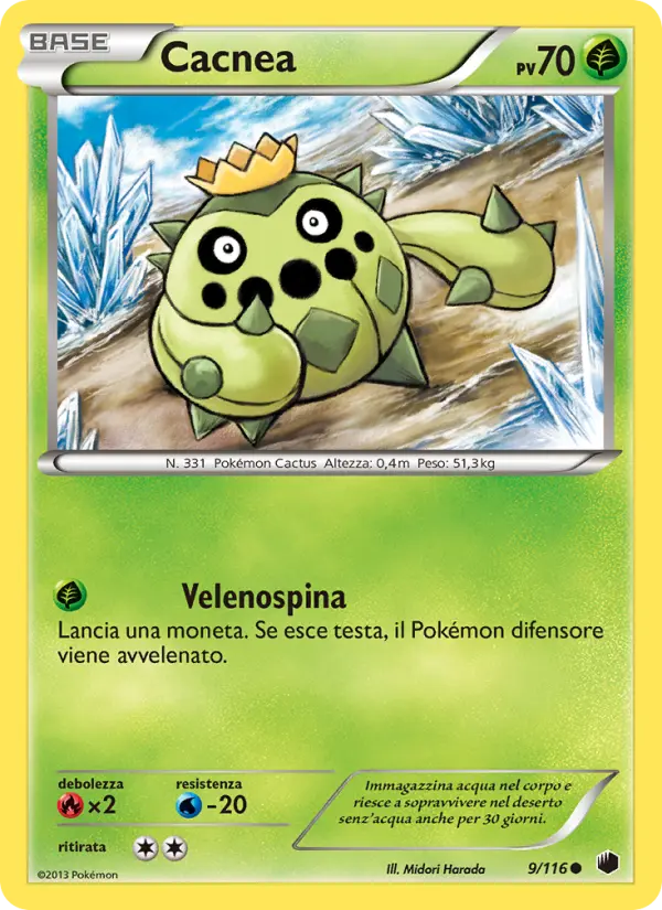 Cacnea, Glaciazione Plasma Nº 9
