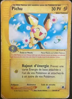 Pichu, Expedition No. 58 Normal