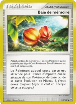 Baie de mémoire, Platine No. 110 Normal