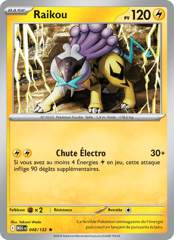 Raikou, Méga-Évolution No. 048