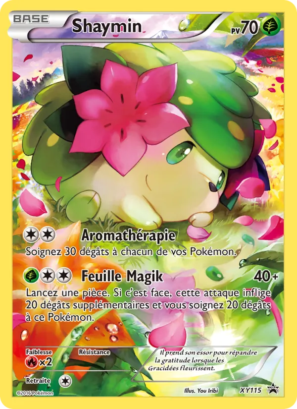 Shaymin, Promo XY No. XY115