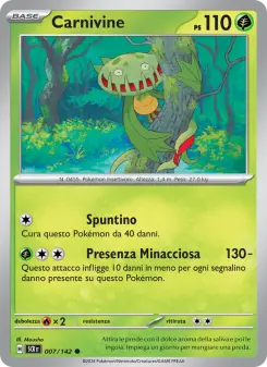 Carnivine, Corona Astrale No. 007 Normal