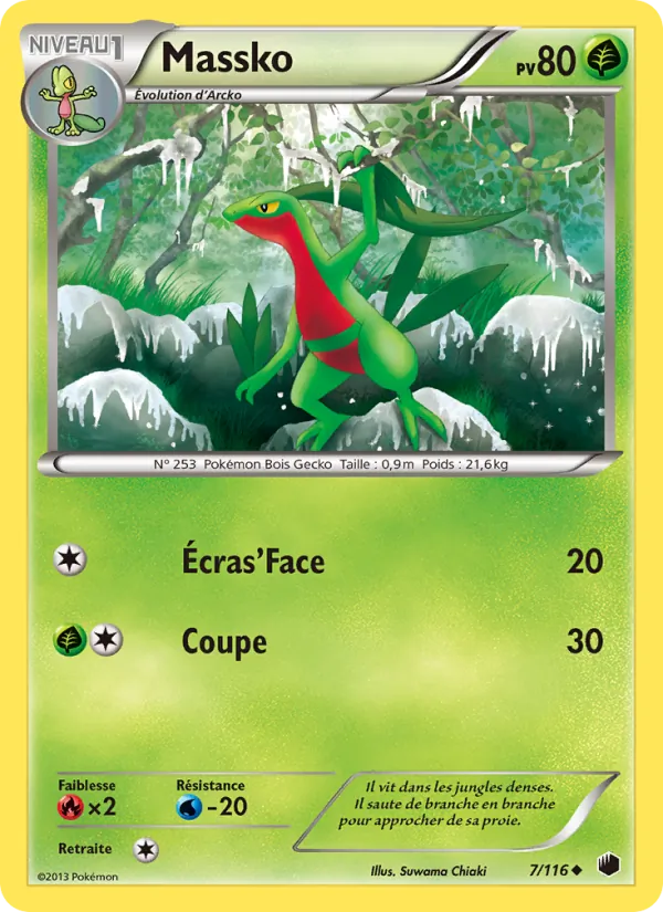 Massko, Glaciation Plasma Nº 7