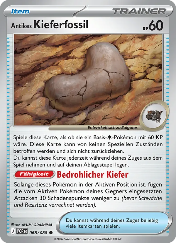 Antikes Kieferfossil, Optimale Ordnung No. 068