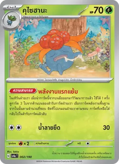 คุไซฮานะ, ไชนีเทรเชอร์ex Nº 002 Normal