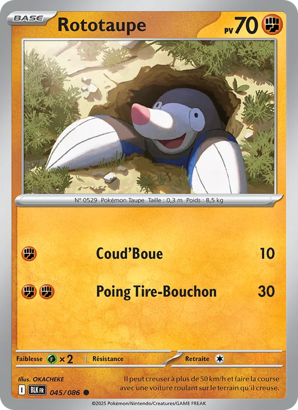 Rototaupe, Foudre Noire No. 045