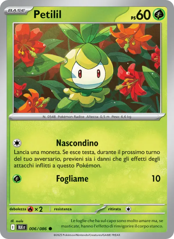Petilil, Luce Nera No. 006