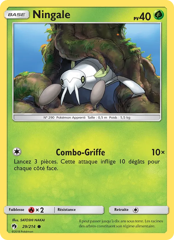 Ningale, Tonnerre Perdu No. 29