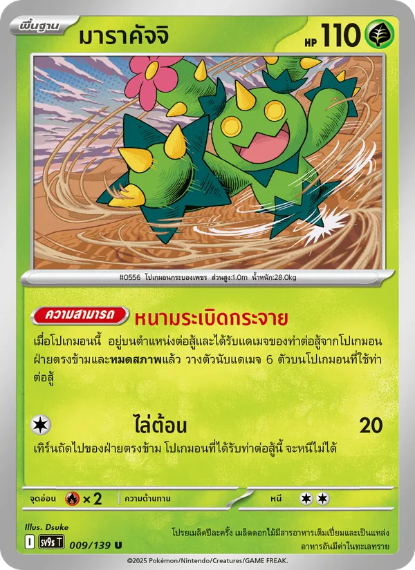 มาราคัจจิ, สายใยแห่งโชคชะตา Nº 009