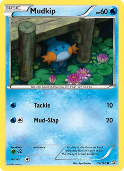 Mudkip, Primal Clash No. 33 Normal
