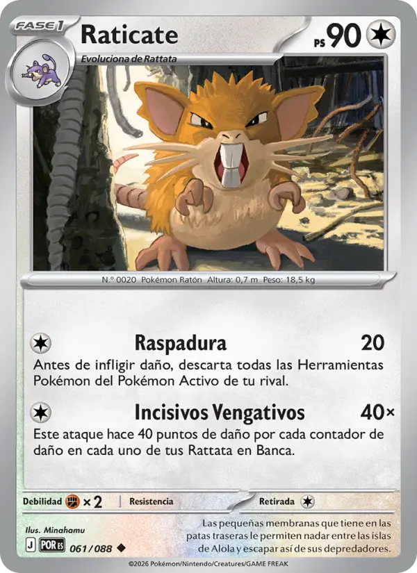 Raticate, Equilibrio Perfecto No. 061