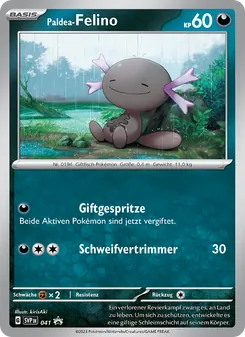 Paldea-Felino, SVP Black Star Promos No. 041 Holo