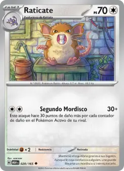 Raticate, 151 Nº 020 Normal