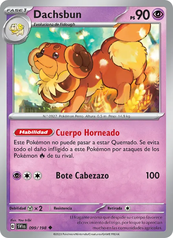 Dachsbun, Escarlata y Púrpura No. 099