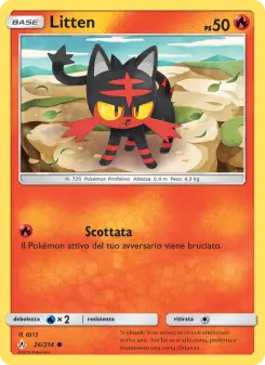 Litten, Legami Inossidabili No. 26 Normal