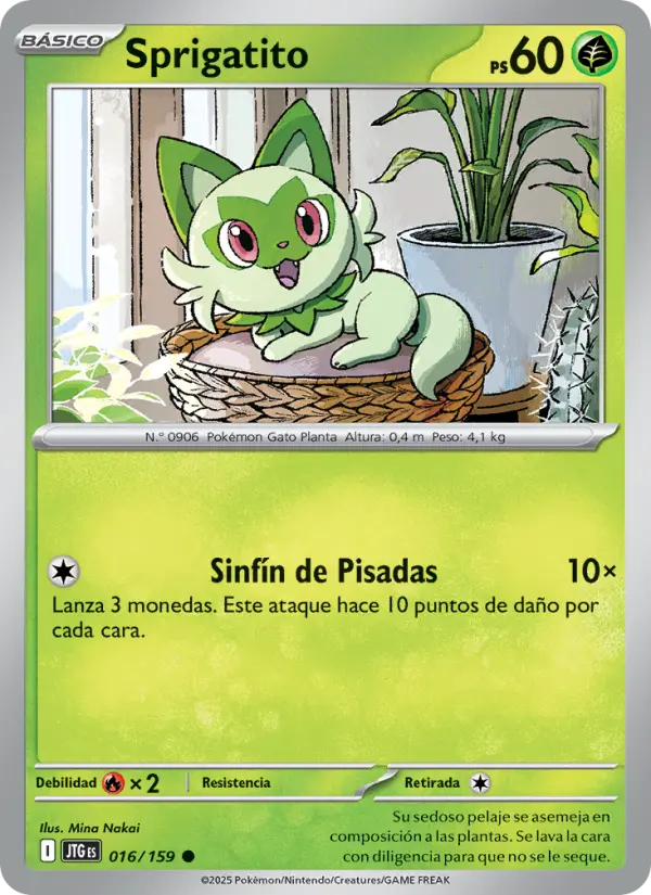 Sprigatito, Juntos de Aventuras No. 016