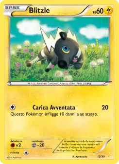 Blitzle, XY trainer Kit (Pikachu Libre) No. 12 Normal
