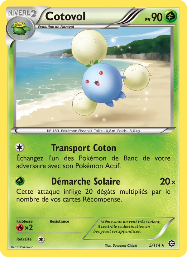 Cotovol, Offensive Vapeur No. 5