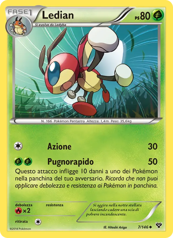 Ledian, XY No. 7