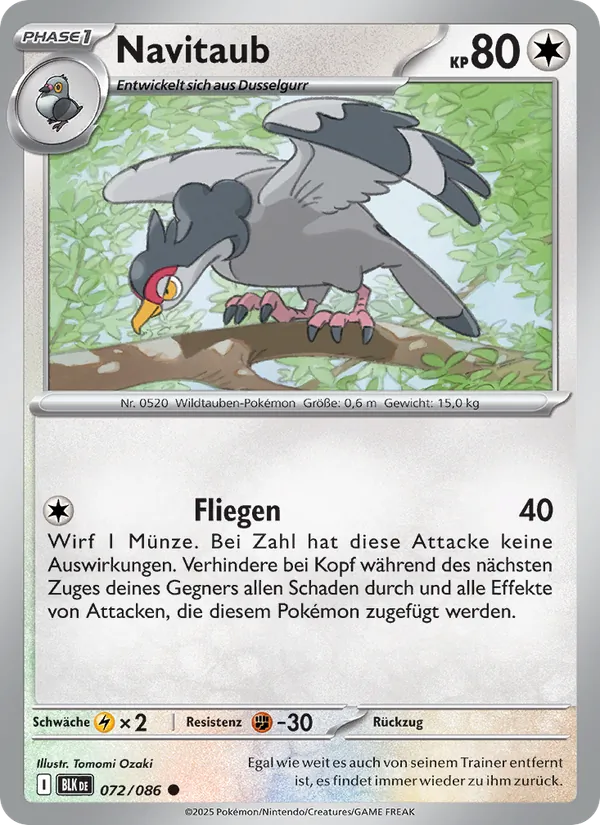 Navitaub, Schwarze Blitze No. 072