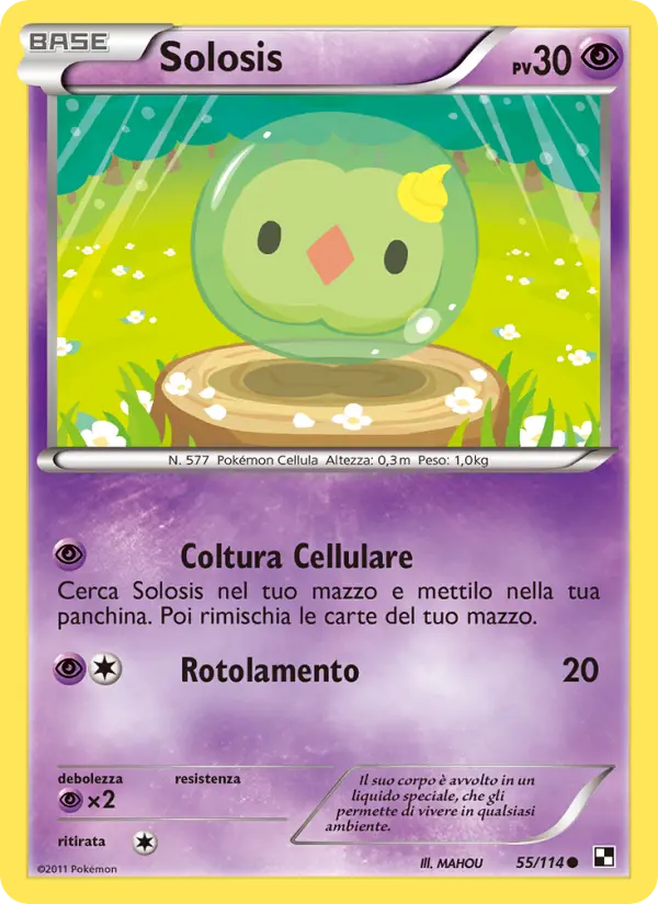 Solosis, Nero e Bianco No. 55