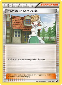 Professeur Keteleeria, Noir & Blanc Nº 101 Normal
