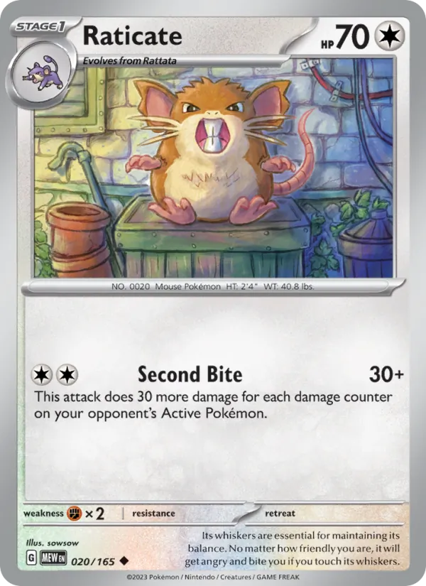 Raticate, 151 Nº 020