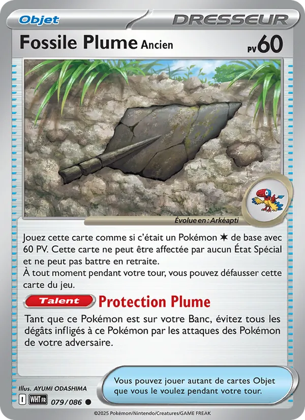 Fossile Plume Ancien, Flamme Blanche Nº 079