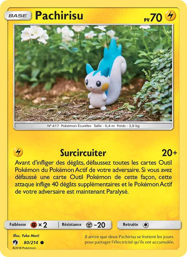 Pachirisu, Tonnerre Perdu No. 80