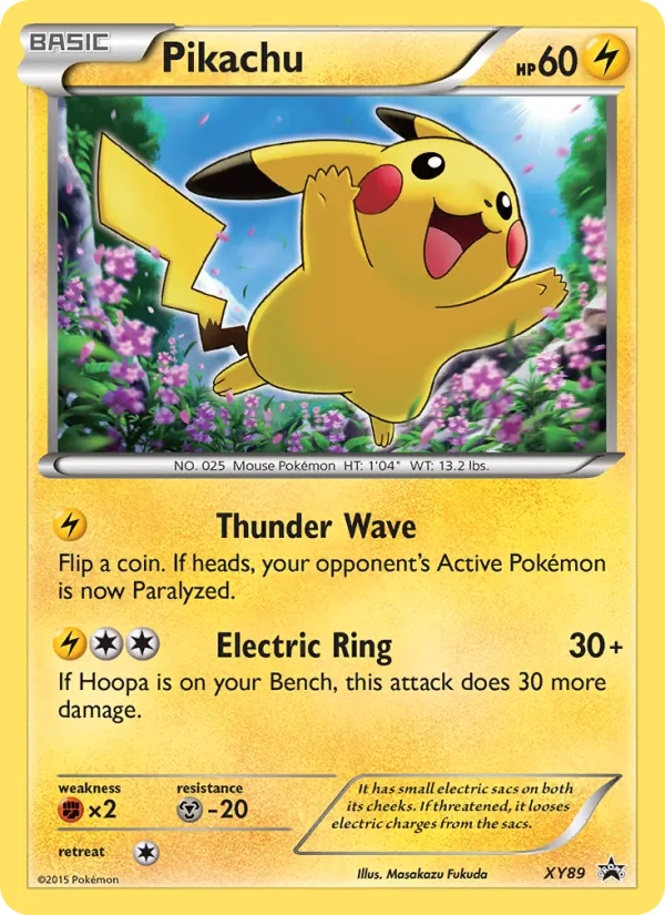 Pikachu, XY Black Star Promos No. XY89
