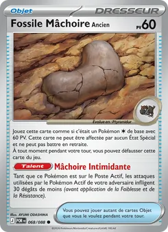 Fossile Mâchoire Ancien, Équilibre Parfait Nº 068 Normal