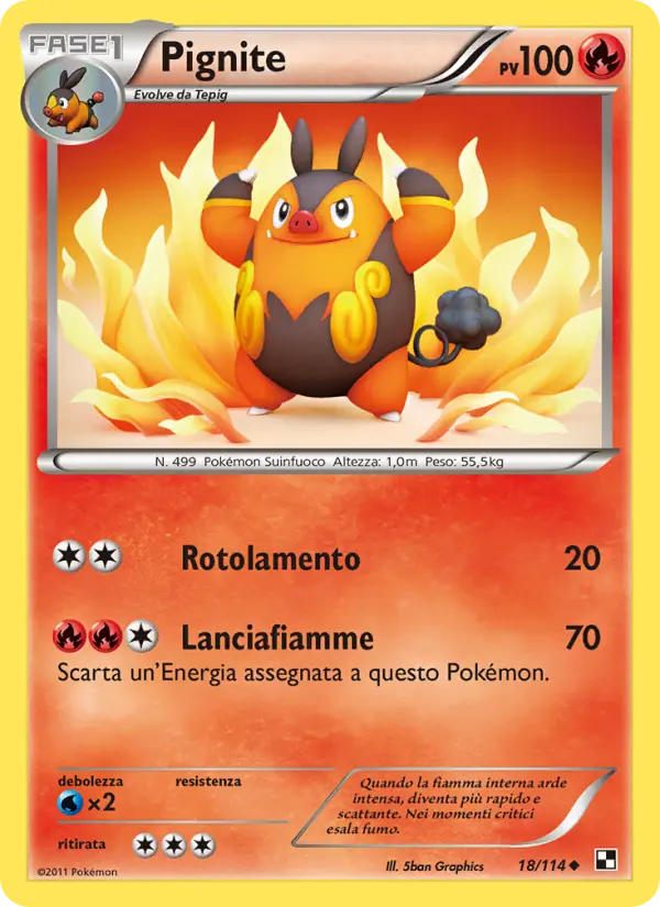 Pignite, Nero e Bianco No. 18