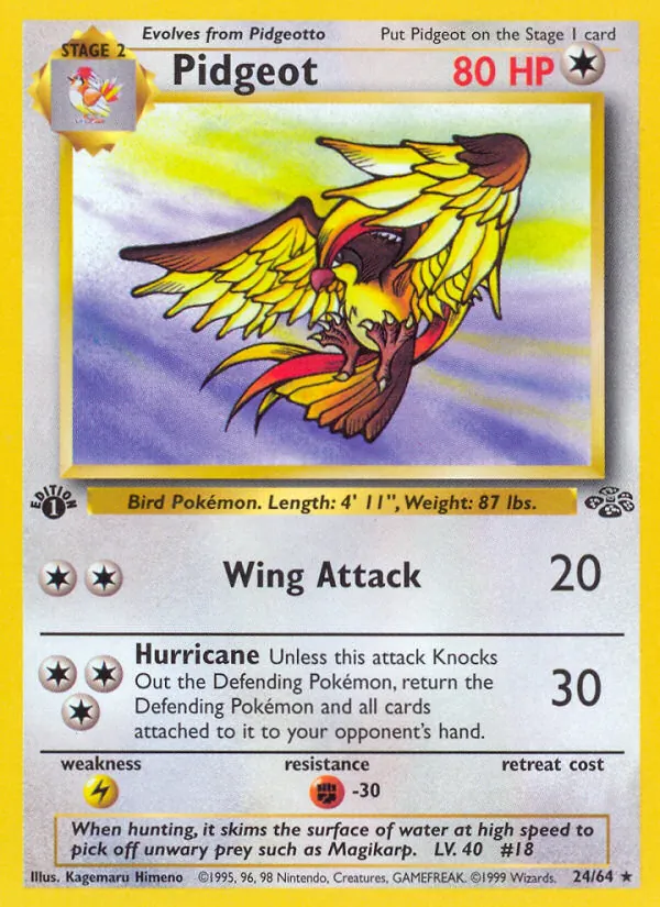 Pidgeot, Jungle No. 24