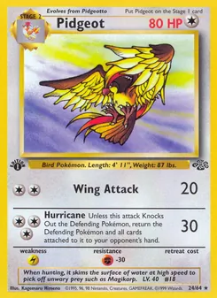 Pidgeot, Jungle No. 24 Normal