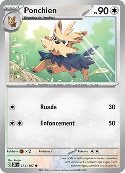 Ponchien, Flammes Obsidiennes Nº 171 Normal