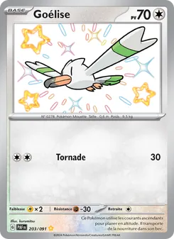 Goélise, Destinées de Paldea No. 203 Holo