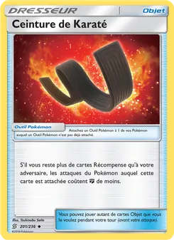 Ceinture de Karaté, Harmonie des Esprits Nº 201 Normal
