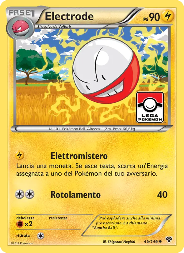 Electrode, XY Nº 45