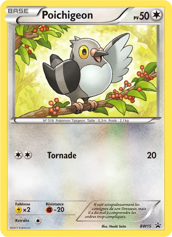 Poichigeon, Promo BW No. BW15