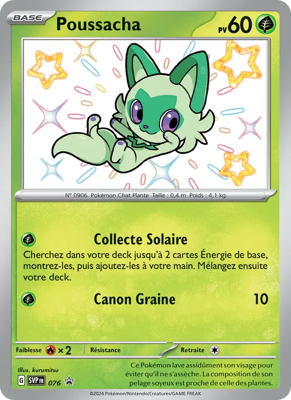 Poussacha, SVP Black Star Promos Nº 076
