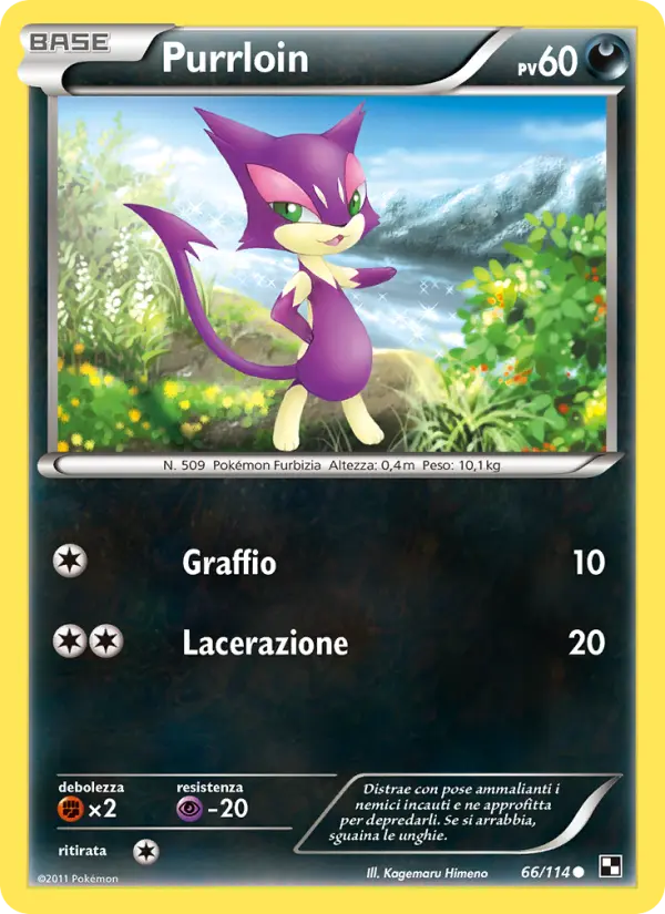 Purrloin, Nero e Bianco No. 66