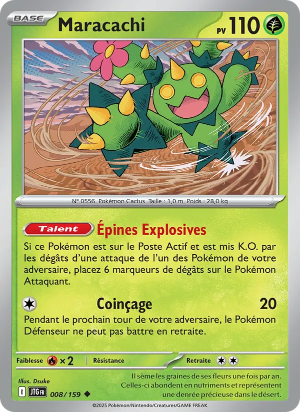 Maracachi, Aventures Ensemble Nº 008
