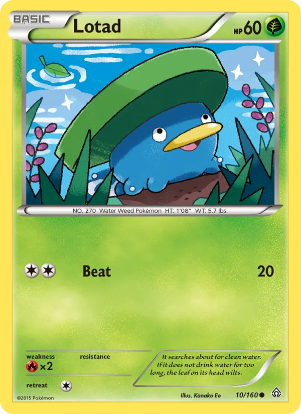 Lotad, Primal Clash No. 10