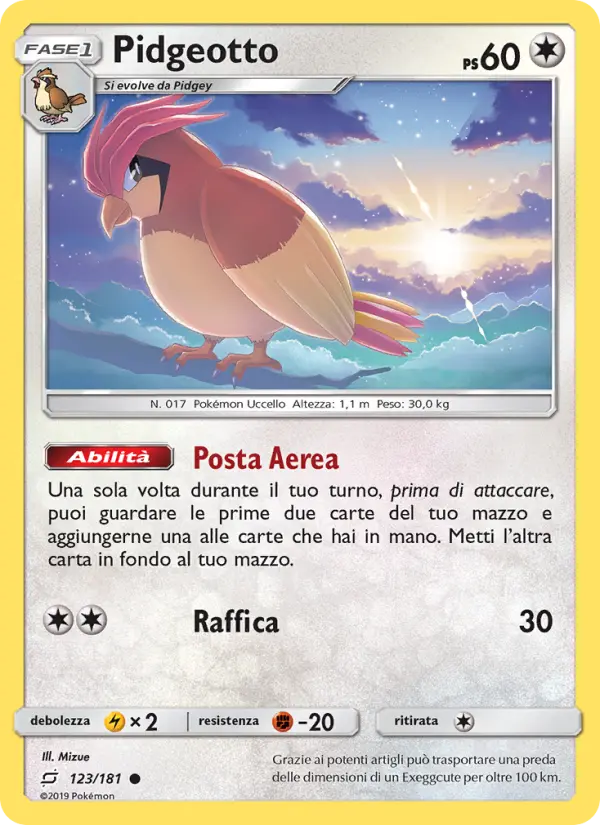 Pidgeotto, Gioco di Squadra No. 123