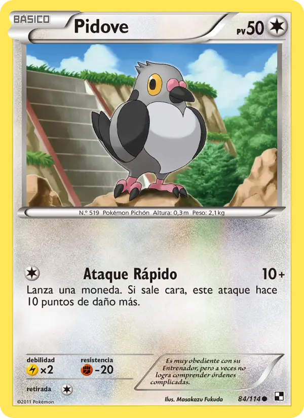 Pidove, Negro y Blanco No. 84