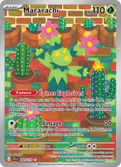 Maracachi, Aventures Ensemble Nº 160 Holo