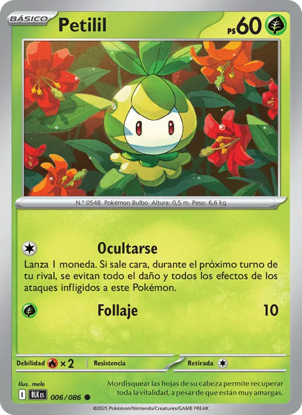 Petilil, Fulgor Negro No. 006