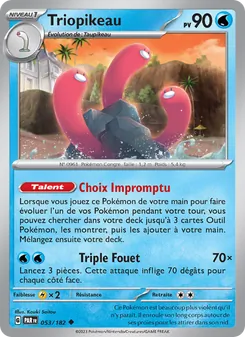 Triopikeau, Faille Paradoxe No. 053 Normal