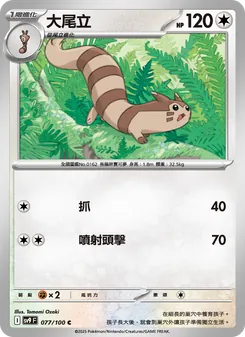 大尾立, 對戰搭檔 Nº 077 Normal